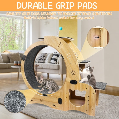 6-in-1 Cat Fitness Wheel