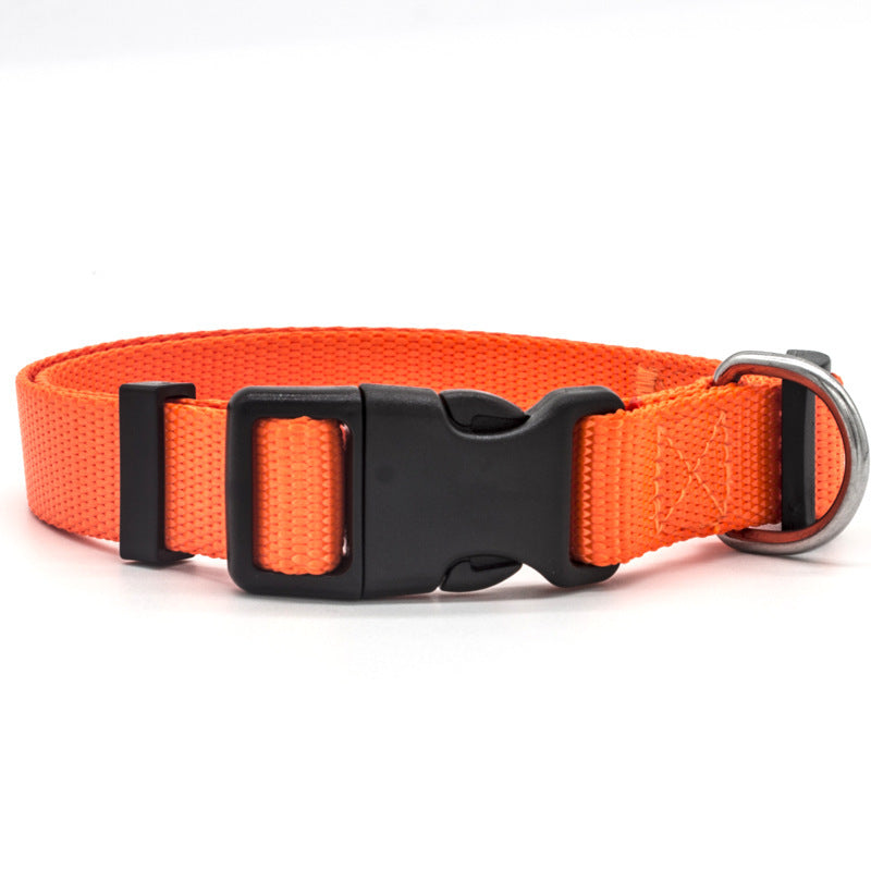 Stylish New Pet Collar for Dogs and Cats in Multiple Colors