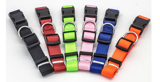 Stylish New Pet Collar for Dogs and Cats in Multiple Colors