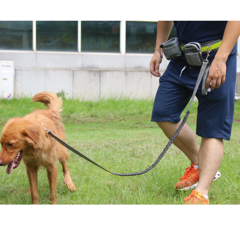 Enjoy walks with the Adjustable Hands-Free Dog Leash, featuring a durable nylon design and adjustable waist for comfort.