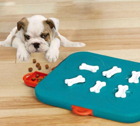 Dog Treasure Hunt Toy for Interactive Play and Fun