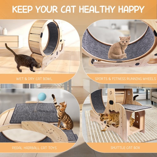 6-in-1 Cat Fitness Wheel