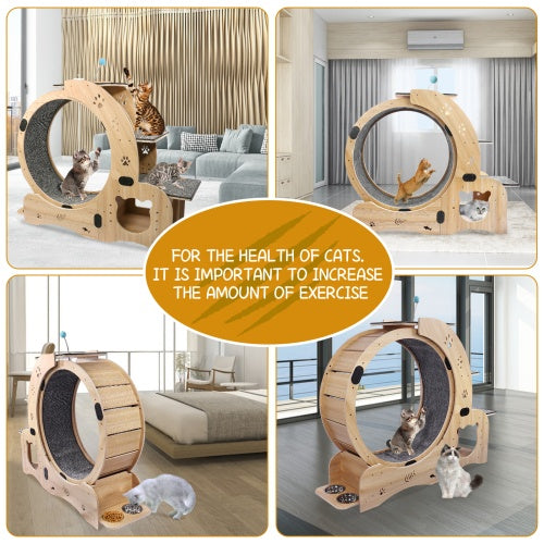 6-in-1 Cat Fitness Wheel