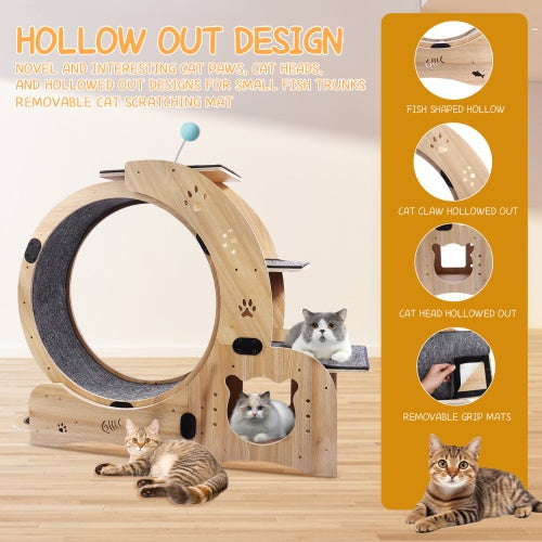 6-in-1 Cat Fitness Wheel