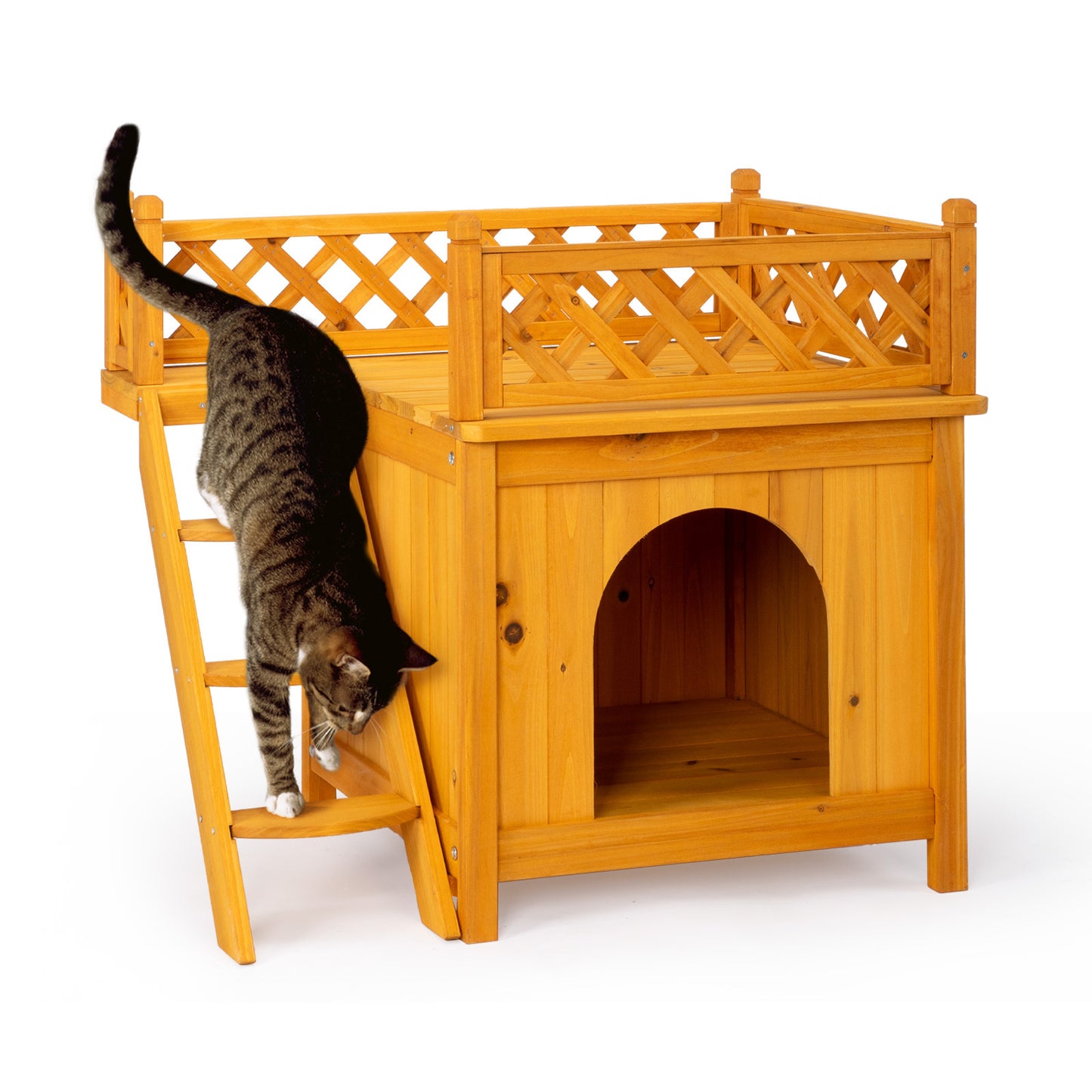 2-Story Fence With Staircase Cat House