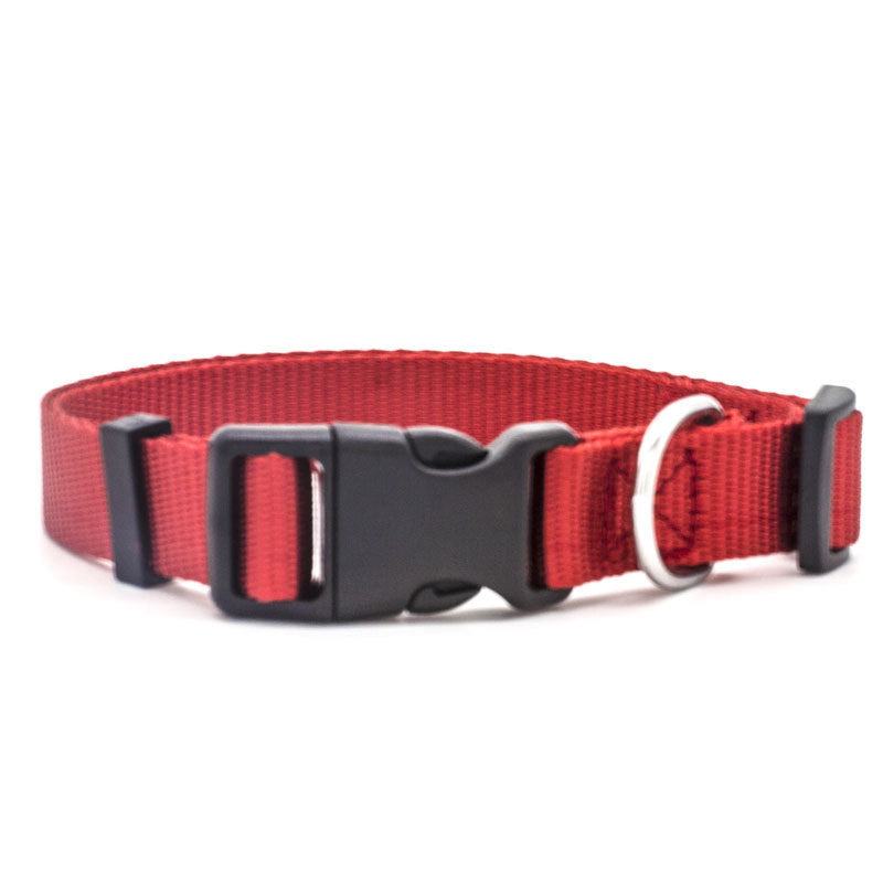 Stylish New Pet Collar for Dogs and Cats in Multiple Colors