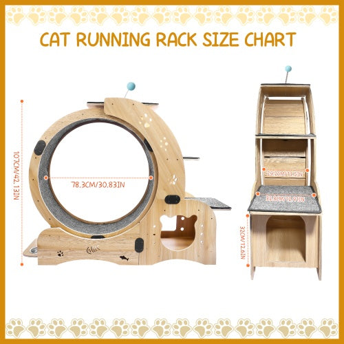 6-in-1 Cat Fitness Wheel