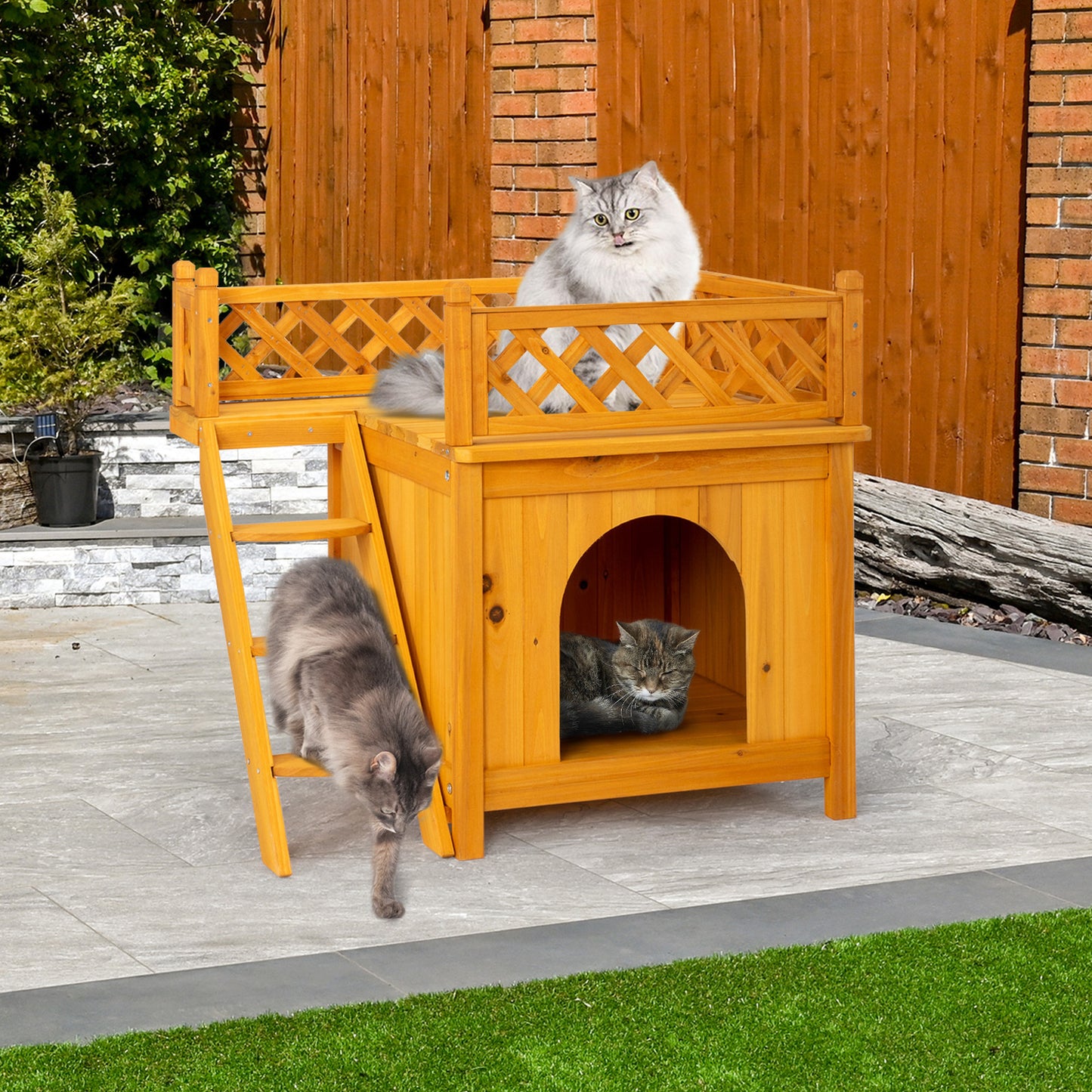 2-Story Fence With Staircase Cat House