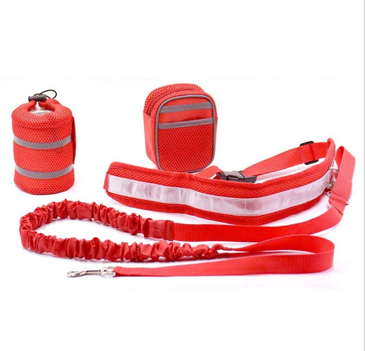 Adjustable Hands-Free Dog Leash for Active Pet Owners