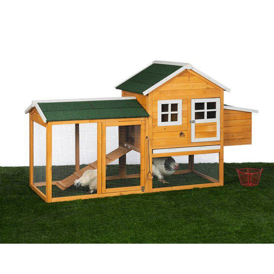 Chicken Coop with Nest Box
