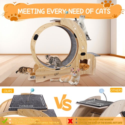 6-in-1 Cat Fitness Wheel