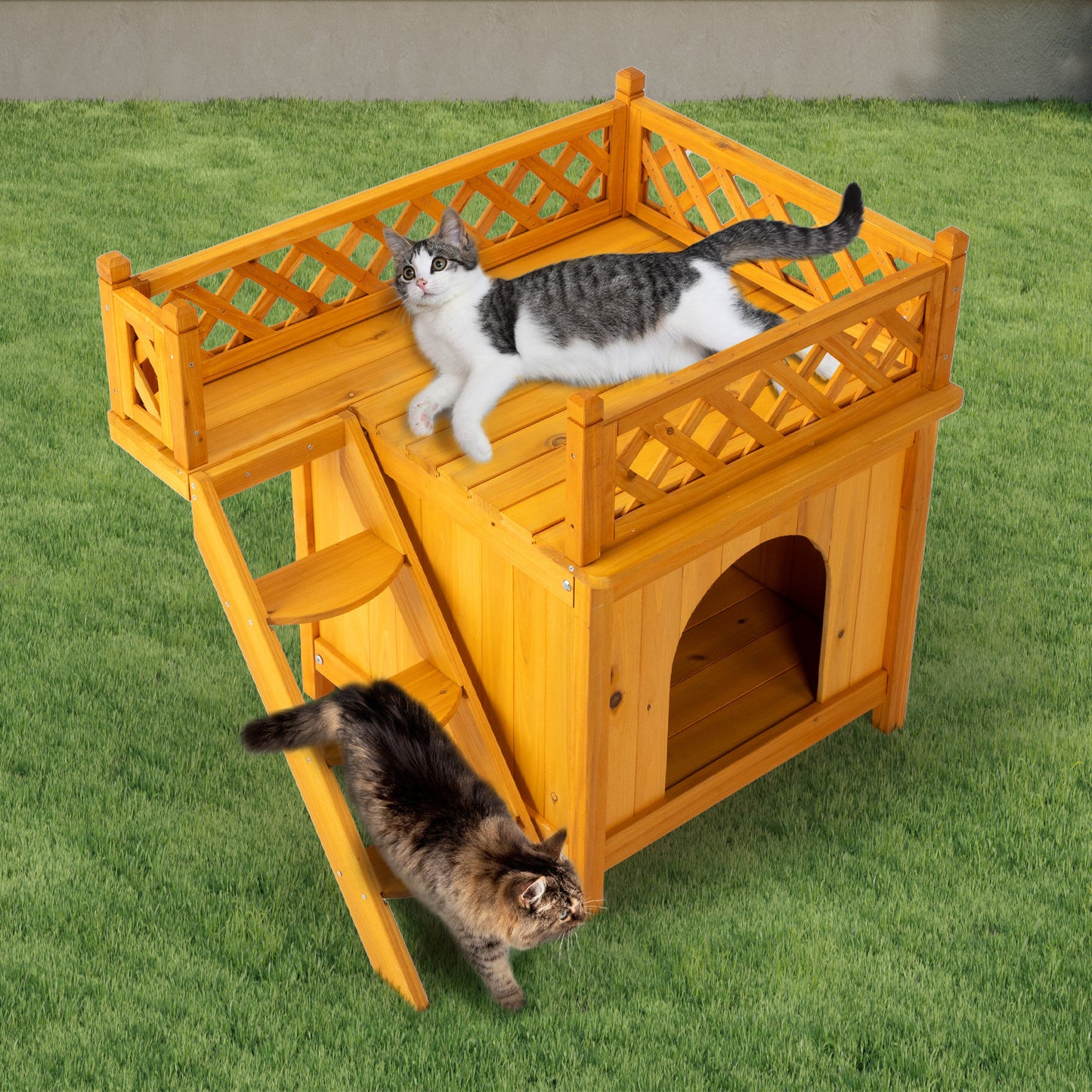 2-Story Fence With Staircase Cat House