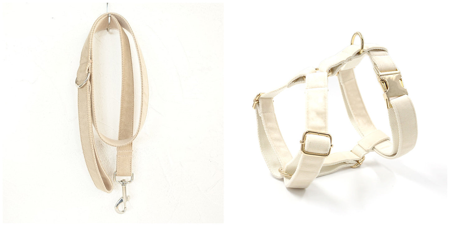 Dog Bow Tie Collar and Leash (Nude)