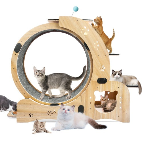 6-in-1 Cat Fitness Wheel