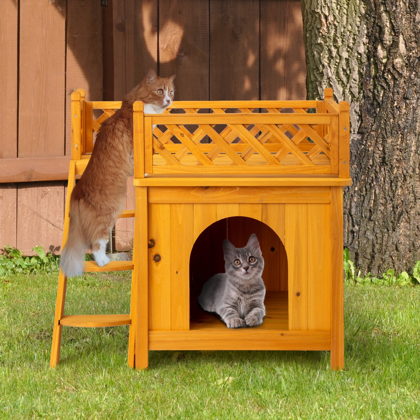 2-Story Fence With Staircase Cat House